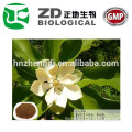 magnolia leaf extract magnolol powder